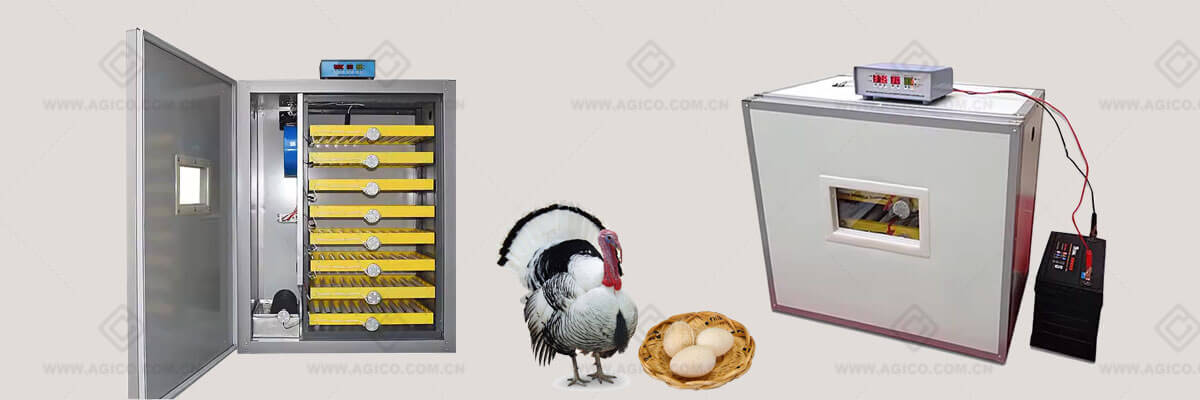 Turkey Egg Incubator