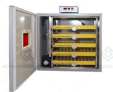 Turkey Incubator for Sale